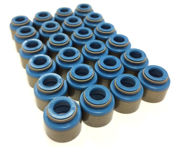 GSC P-D Nissan TB48DE Valve Stem Viton 7mm Seal - SET OF 24 - Bull Strap