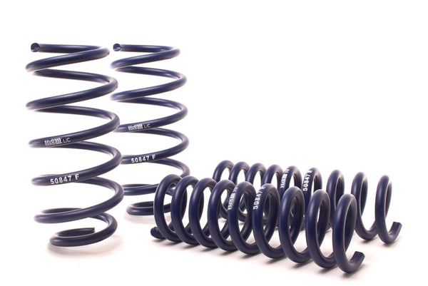 H&R 05-10 Chrysler 300 C LX Sport Spring (w/o Self-Leveling/Non AWD) - Bull Strap