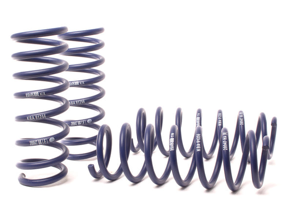 H&R 11-16 BMW 550i xDrive F10 Sport Spring - Bull Strap