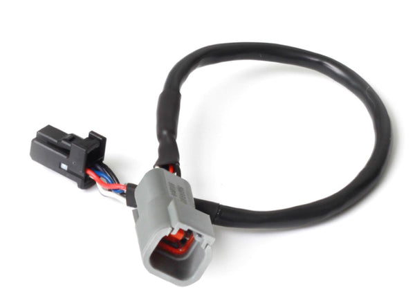 Haltech 3in CAN Adaptor Cable DTM-4 Female Receptacle/Socket to 8 Pin Black Tyco - Bull Strap