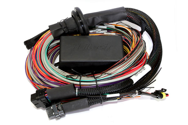 Haltech Elite 2500/2500 T Premium Universal Wire-In Harness - 2.5m (8ft) - Bull Strap