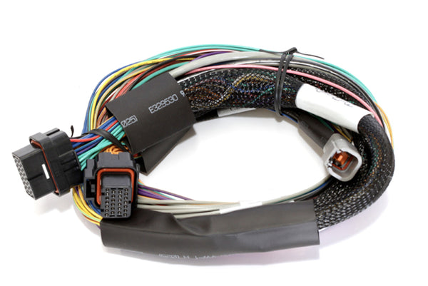 Haltech Elite 2500 Basic Universal Wire-In Harness w/o Relays or Fuses - 2.5m (8ft) - Bull Strap