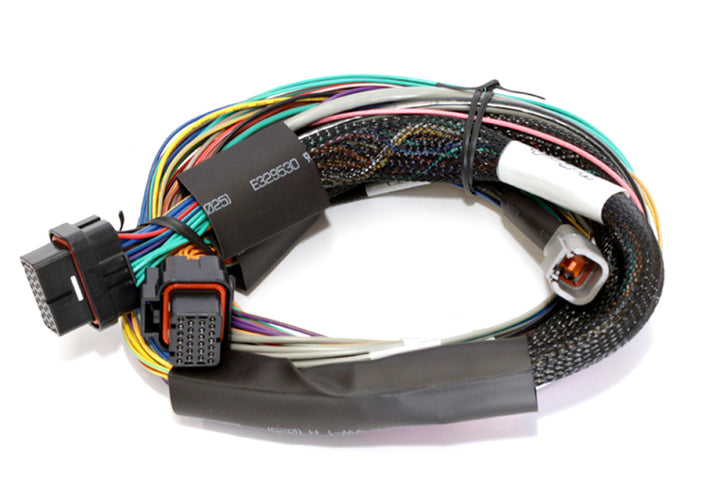 Haltech Elite 2500 Basic Universal Wire-In Harness ECU Kit - Bull Strap