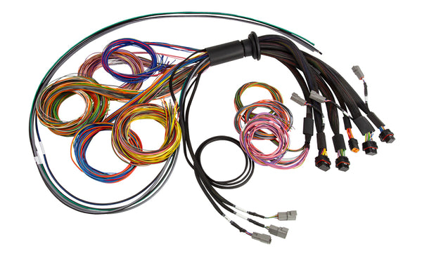 Haltech NEXUS R5 Universal Wire-In Harness - 2.5M (8ft) - Bull Strap