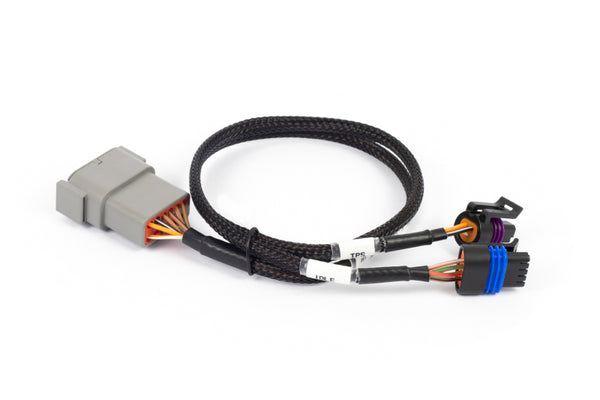 Haltech NEXUS Rebel LS Cable Throttle & IAC Sub-Harness - Bull Strap