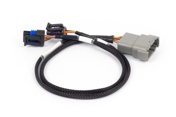 Haltech NEXUS Rebel LS Cable Throttle & IAC Sub-Harness - Bull Strap
