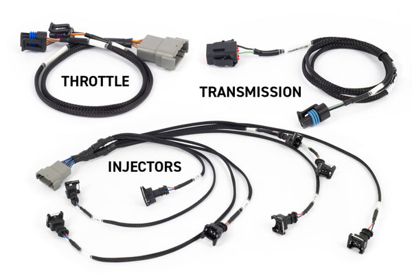 Haltech NEXUS Rebel LS Gen III Cable Throttle/EV1 Injectors/Manual Transmission - Bull Strap