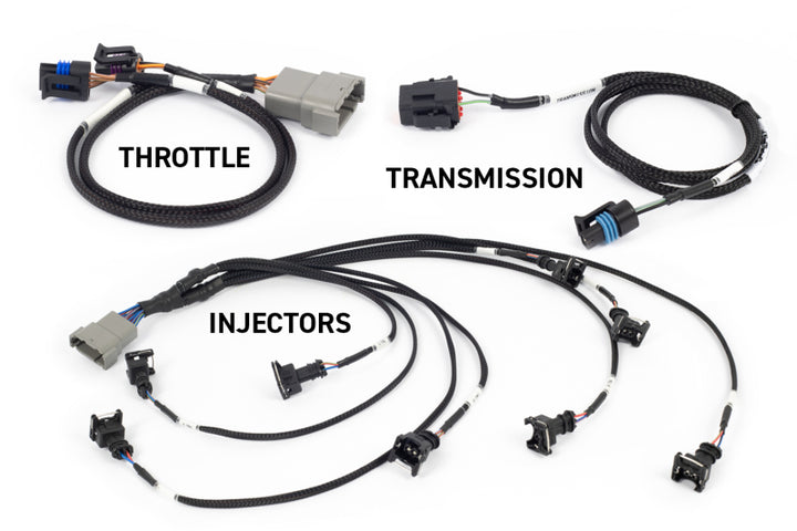 Haltech NEXUS Rebel LS Gen III Cable Throttle/EV1 Injectors/Manual Transmission - Bull Strap