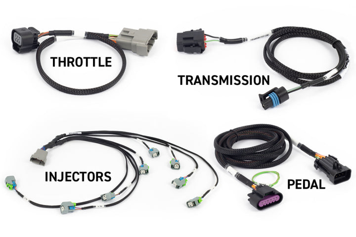 Haltech NEXUS Rebel LS Gen IV 6-Pin DBW Throttle/EV6 Injectors/Manual Transmission - Bull Strap