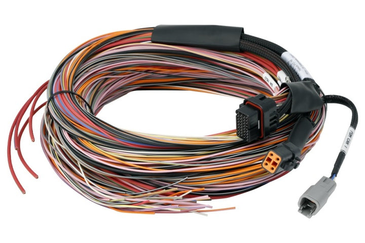 Haltech PD16 Flying Lead Harness 5M - Bull Strap