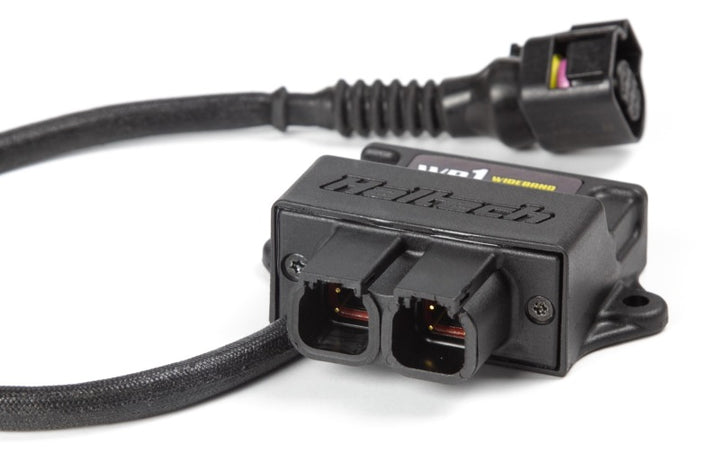 Haltech WB1 Single Channel CAN O2 Wideband Controller Kit - Bull Strap