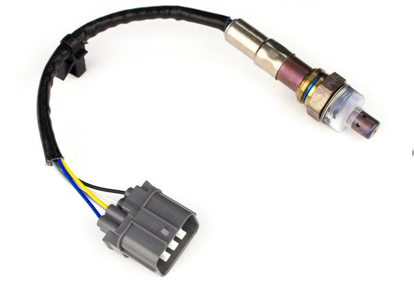 Haltech Wideband O2 Sensor (NTK LZA08-H5) - Bull Strap