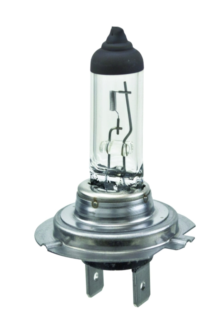Hella Halogen H7 Bulb - Bull Strap