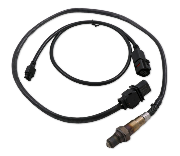 Innovate LSU4.9 Upgrade Kit - 3ft Sensor Cable and O2 Sensor - Bull Strap