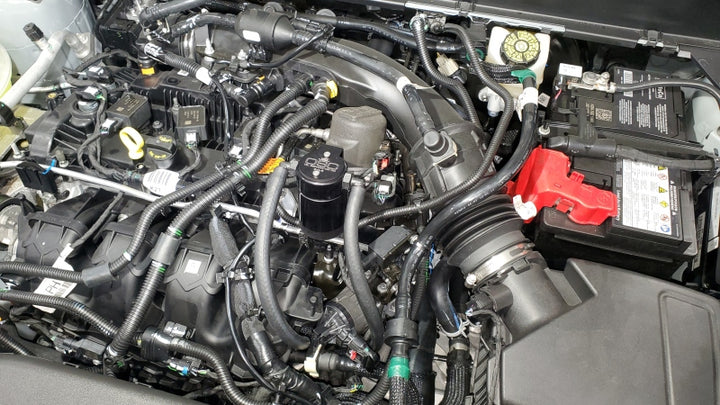 J&L 19-24 Ford/Lincoln SUV & Trucks w 2.0 EcoBoost Driver Side Oil Separator 3.0 - Black Ano - Bull Strap