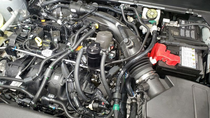 J&L 19-24 Ford/Lincoln SUV & Trucks w 2.0 EcoBoost Driver Side Oil Separator 3.0 - Black Ano - Bull Strap
