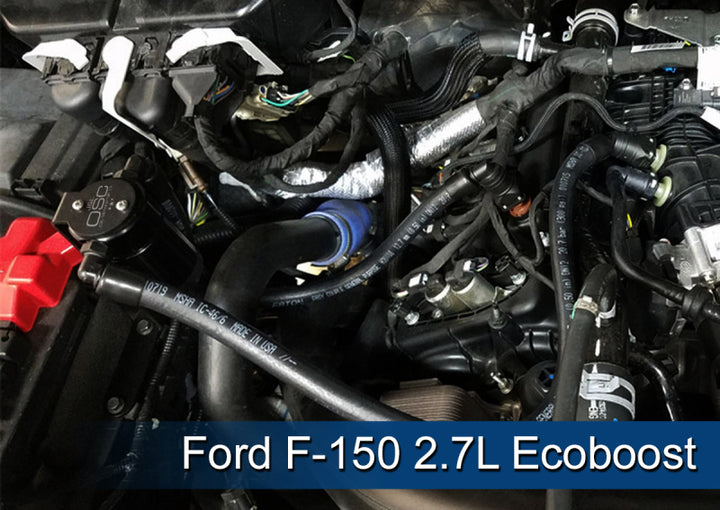 J&L 2011-2025 Ford F-150 2.7L/3.5L/5.0L Passenger Side Oil Separator 3.0 - Black Anodized - Bull Strap