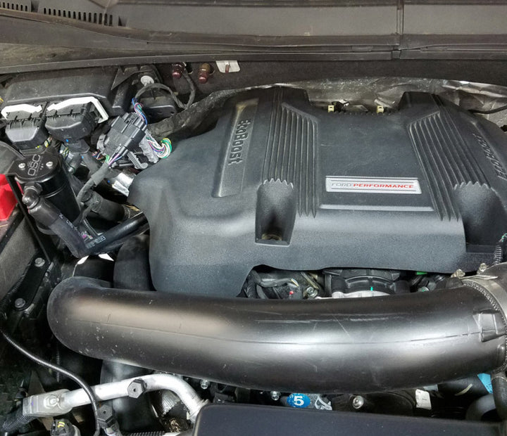 J&L 2011-2025 Ford F-150 2.7L/3.5L/5.0L Passenger Side Oil Separator 3.0 - Black Anodized - Bull Strap