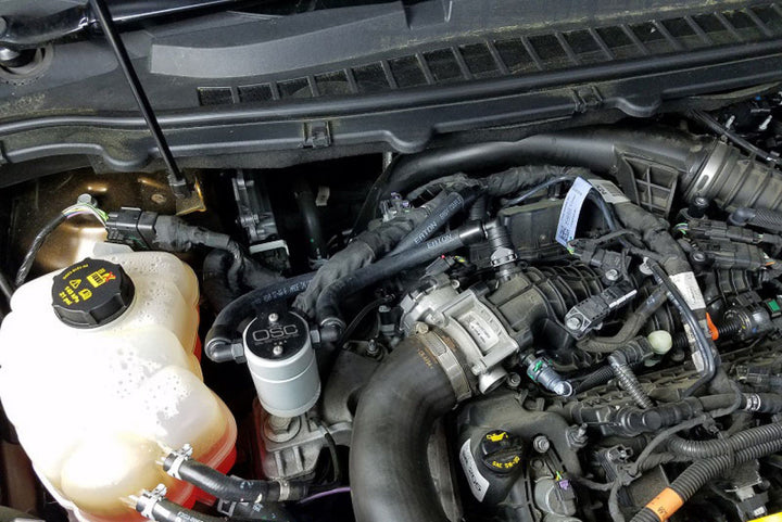 J&L 2015-2024 Ford Edge Sport/ST Passenger Side Oil Separator 3.0 - Clear Anodized - Bull Strap