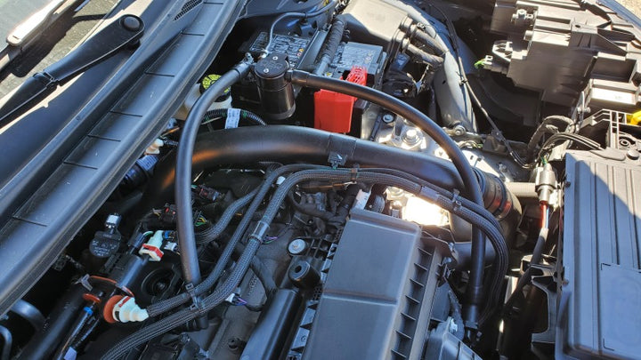 J&L 23-25 Ford Ecoboost 2.0 Oil Separator PCV Side - Black Anodized - Bull Strap