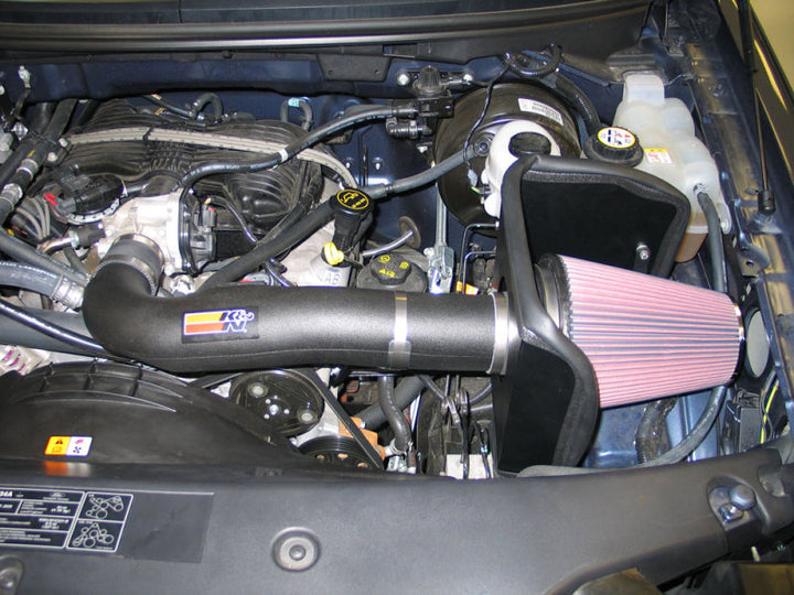 K&N 06 Ford F150 V6-4.2L Performance Intake Kit - Bull Strap
