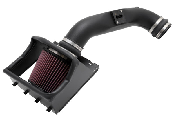 K&N 09-10 Ford F-150 4.6L V8 Performance Intake Kit - Bull Strap