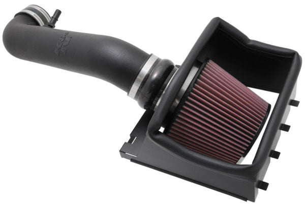 K&N 11-14 Ford F-150 5.0L V8 Performance Intake Kit - Bull Strap