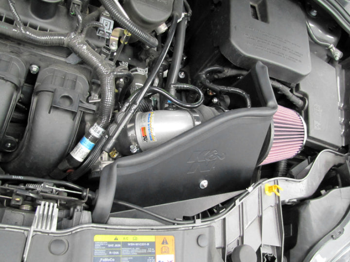 K&N 12 Ford Focus 2.0L Typhoon Performance Intake - Bull Strap