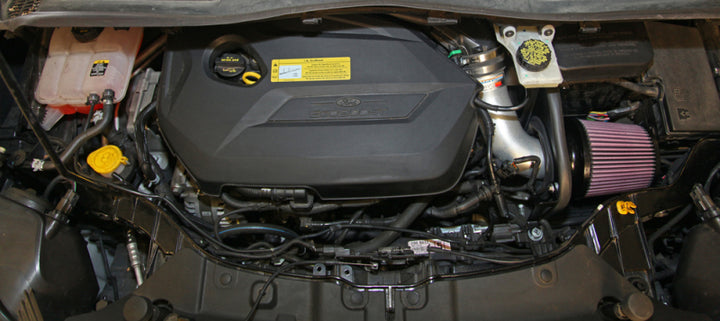 K&N 13-15 Ford Escape 2.0L/1.6L L4 Typhoon Cold Air Intake - Bull Strap