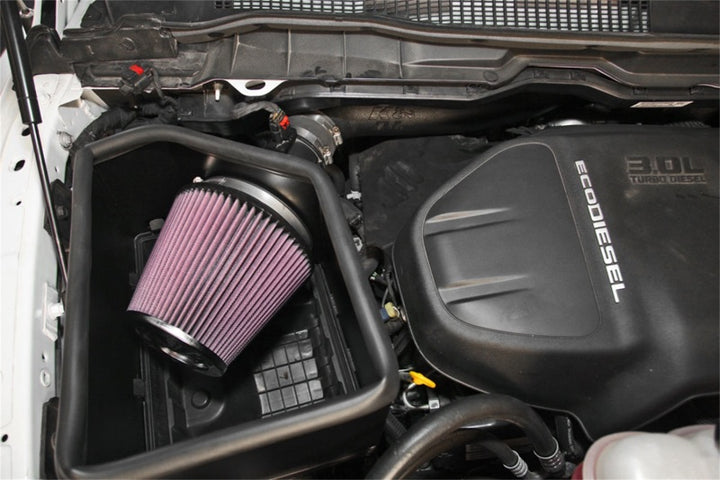 K&N 15-16 Dodge Ram 1500 V6-3.0L DSL Performance Intake Kit - Bull Strap