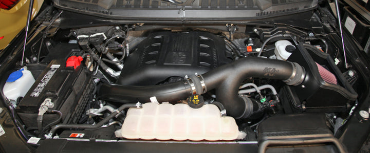 K&N 15-16 Ford F-150 3.5L V6 F/I Performance Intake Kit - Bull Strap