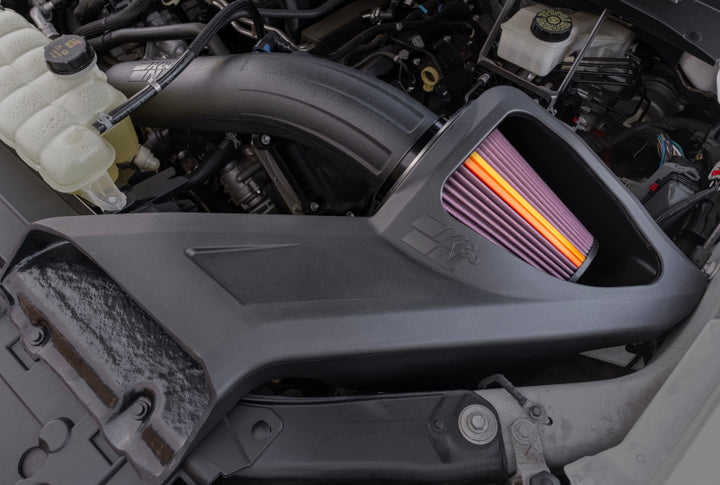 K&N 15-20 Ford F150 V8-5.0 L Performance Air Intake System - Bull Strap