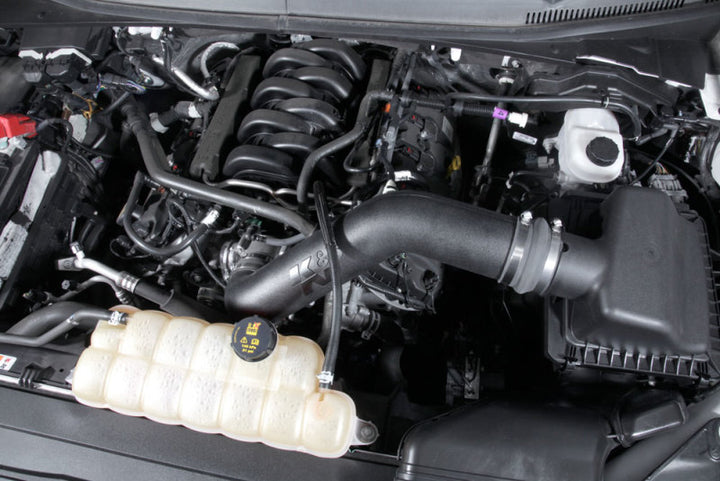 K&N 18-19 Ford F150 V8-5.0L Performance Intake Kit - Bull Strap
