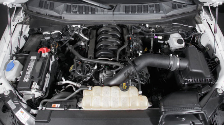 K&N 18-19 Ford F150 V8-5.0L Performance Intake Kit - Bull Strap