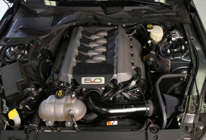 K&N 2015 Ford Mustang GT 5.0L V8 Black Performance Intake Kit - Bull Strap