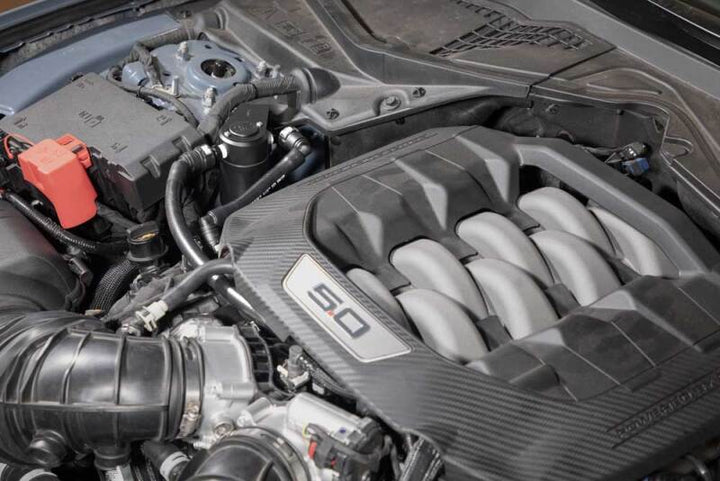 K&N 2024 Ford Mustang Catch Can / Oil Separator - Bull Strap