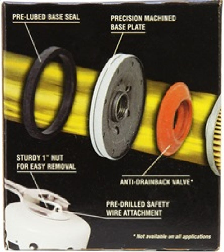 K&N Oil Filter OIL FILTER; AUTOMOTIVE - Bull Strap