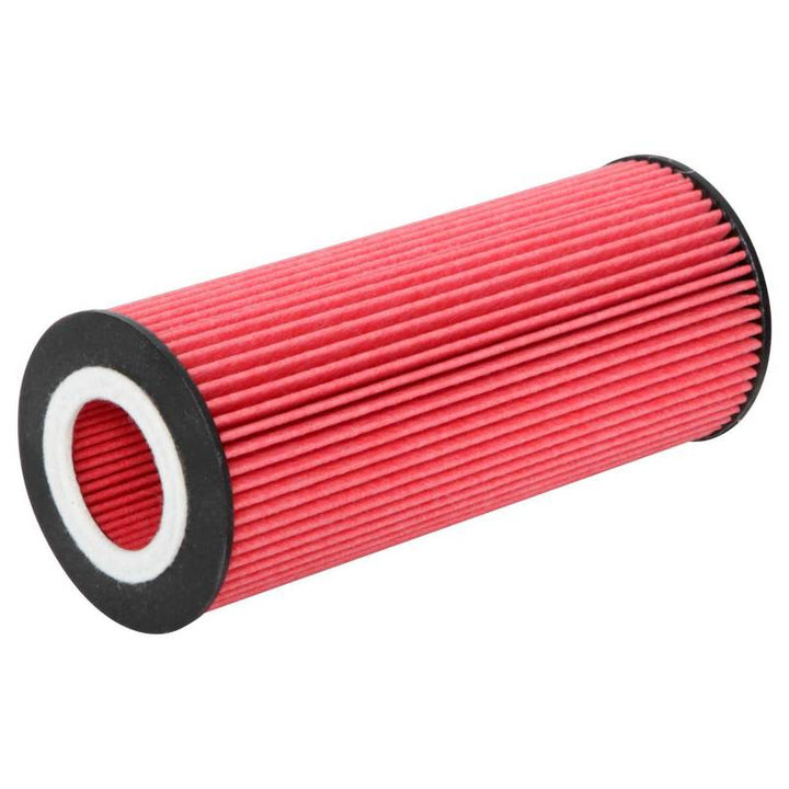 K&N Oil Filter OIL FILTER AUTOMOTIVE - Bull Strap