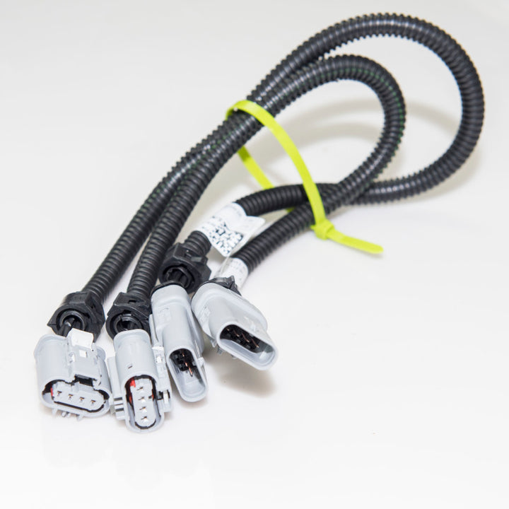 Kooks 2014-2019 Chevrolet Corvette C7 O2 Sensor Extension Harness - Bull Strap