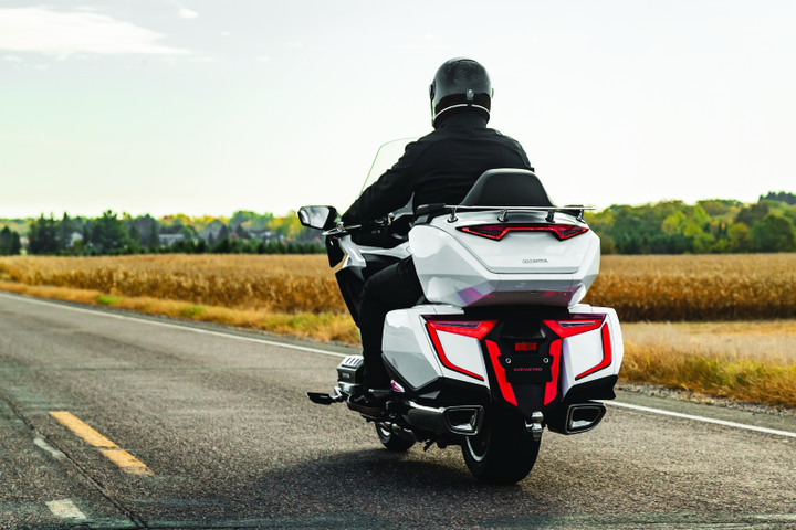 Kuryakyn Omni L.E.D. Rear Bag Accents 18 and up GL1800 - Bull Strap