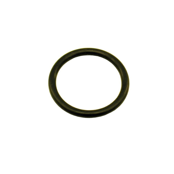 Nitrous Express 1-1/8 O-Ring (Fits 5lb/10lb/12lb/15lb Bottle Valve) - Bull Strap