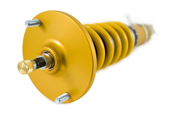 Ohlins 95-02 Nissan Skyline GT-R (R33/R34) Road & Track Coilover System - Bull Strap