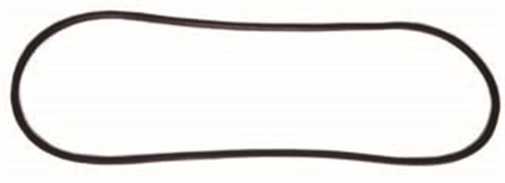 Omix Windshield Glass Seal 76-86 Jeep CJ Models - Bull Strap