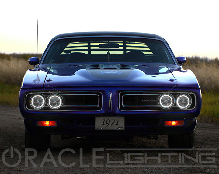 Oracle Pre-Installed Lights 5.75 IN. Sealed Beam - White Halo - Bull Strap