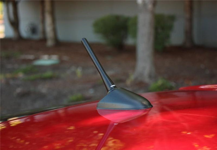 PERRIN 13-15 Subaru BRZ/Crosstrek & 14-15 Forester / 13-15 Scion FR-S Shorty Antenna - 2in. Mast - Bull Strap