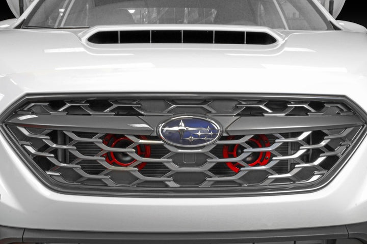 PERRIN 22-25 Subaru WRX Hella Horn Bracket (Bracket ONLY) - Bull Strap