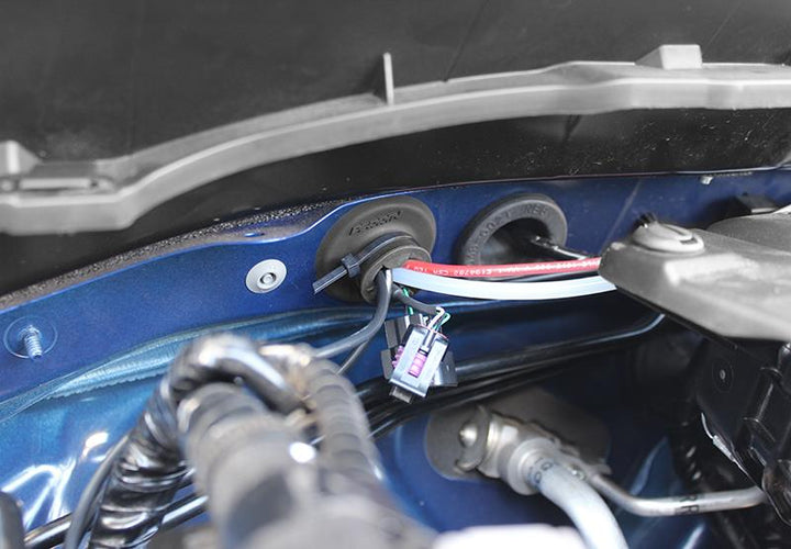 PERRIN Subaru WRX 15-21 / Universal Fire Wall Grommet - 1.4in. - Bull Strap