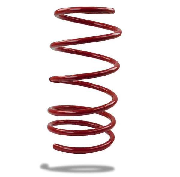 Pedders Front Spring Low V6 2004-2006 GTO - Bull Strap