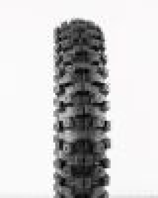 ProTaper MXT 04 Front Tire 60/100-12 - Bull Strap