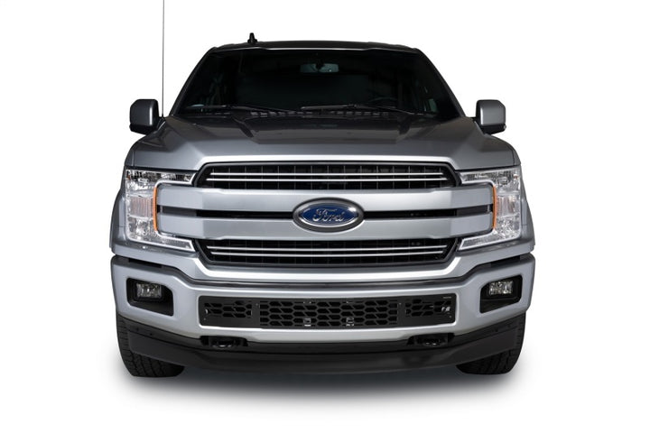 Putco 18-20 Ford F-150 - Hex Shield - Black Powder Coated Bumper Grille Inserts - Bull Strap
